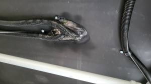 Maxia 585 UL montage mover