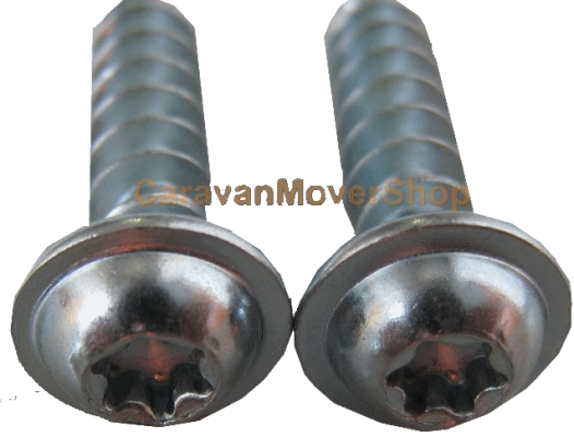 Reich cover screw 2 pieces